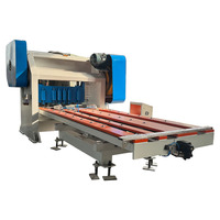 Machine à poinçonner pour la fabrication de mailles métalliques et le traitement des tôles d'acier, pour mailles métalliques expansées robustes