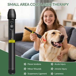 Máquina Médica Láser de Alta Potencia 808nm para Tinnitus, Puntero Terapéutico de Láser Frío Clase 4 para <span class=keywords><strong>Acupuntura</strong></span> - Product Image 3