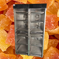 Heetverkopende commerciële multifunctionele fruit- en groentedroger / grote capaciteit vleesdroogapparatuur
