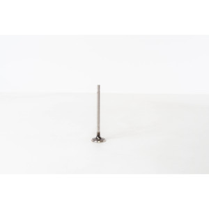 Válvula de Escape Apta para RENAULT 7701473354 Válvulas de Motor - Product Image 1