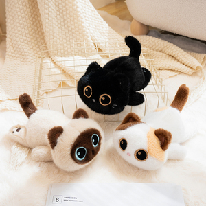 Peluche de Gato con Ojos Grandes y Suaves, Juguete de Peluche con Peso y Partículas Internas, Venta al por Mayor, Regalo de Cumpleaños para Niños, Decoración de Escritorio - Product Image 6