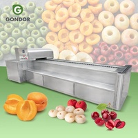 Industriële automatische elektrische appel- en kersenontpitter, litchi-ontpittermachine