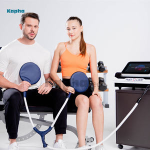 Nouvelles Machines Pemf Equine PMST LOOP PRO MAX Pemf Dispositif de thérapie par champ électromagnétique pulsé pour l'homme et le cheval - Product Image 2