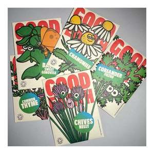 Good Earth Kids Children Kit de cultivo de plantas de simulación Kit de Agricultura de estilo rural para uso en el suelo Hecho de fibra vegetal - Product Image 3