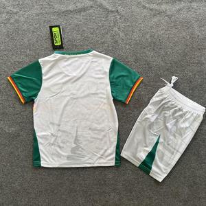 Çocuklar için 25/26 kamerun çocuk futbolu kiti Maillot De ayak futbol forması futbol formaları - Product Image 2