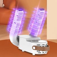 Séchoir à chaussures électrique portable à air chaud avec contrôle par minuterie, pour le séchage et la désodorisation des chaussures, des bottes et des gants, avec fonction de pliage