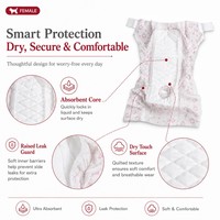 Großhandel Einweg-Hundewindeln für Weibchen Superabsorbierend Auslaufsicher Elastischer Bund für Hunde in den Zeiten des Brunnes und bei Inkontinenz XXS-XL OEM ODM