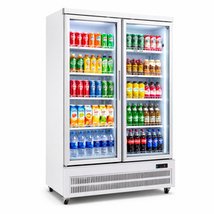 Réfrigérateur commercial vertical avec porte vitrée pour boissons, idéal pour les magasins - Fournisseur direct usine - Product Image 4