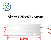 Chauffage céramique PTC isolé avec boîtier en aluminium, trous de fixation ronds ou ovales en option, 110V/220V, 170*62*6mm