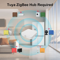Haute qualité Mini Wifi intelligent interrupteur marche-arrêt intelligent usine directe 2 gangs disjoncteur Zigbee Tuya Smart