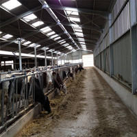 Abri pour animaux en acier personnalisé professionnel pour l'élevage de chèvres et de moutons
