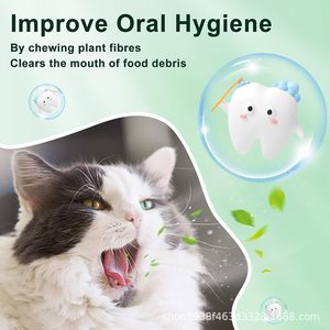 Automatische Plastik katze Kau spielzeug Spinning <span class=keywords><strong>Catnip</strong></span> Ball für Katzen & Hunde lecken Unterhaltung hilft beim Kauen Entspannen - Product Image 2