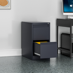 Meuble de rangement en acier au design moderne, armoire à dossiers à 2 tiroirs, casier métallique pour bureau, maison, école, hôpital, durable et organisateur - Product Image 5