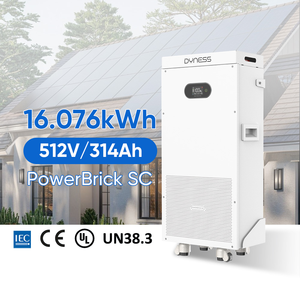 Batteria di accumulo Dyness Powerbrick SC 16kWh 51.2V 314Ah LiFePO4, 8000 cicli, 10 anni di durata, compatibile con inverter Solis Deye - Product Image 1