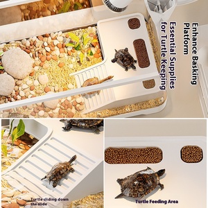 透明なデスクトップ金魚カメ水槽、正方形のプラスチック蓋付き、生態系景観水槽アクセサリー、生活用 - Product Image 3