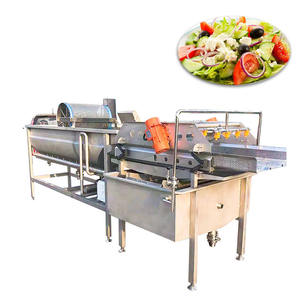 SUS304 Sistema de limpieza de verduras multifunción Nuevo equipo de lavado de frutas con corriente de Foucault con componente de motor central - Product Image 2