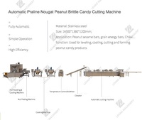 Bouilloire chemisée de chauffage au gaz commercial machine de barre de chocolat d'arachide barre de protéine praline nougat ligne de production