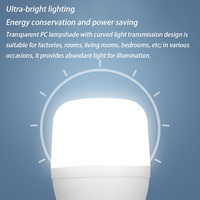 Fabricant en gros d'éclairage domestique 10W 20W 30W 40W 50W 60W Ampoule E27 B22 Matière première Ampoule LED en forme de T