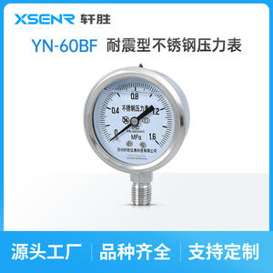 Manomètre en acier inoxydable Suzhou Xuan Sheng, 60 mm, analogique, 0 à 1,6 Mpa, connexion filetée YN60BF - Product Image 5