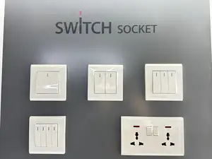 Factory Wholesale ODM/OEM PC Panel Wall Switch 16A Electrical Touch 1 Gang Switch Best-selling In Africa And Southeast Asia