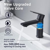 Robinet de lavabo monocommande noir mat contemporain, à poser sur le comptoir, pour salle de bain