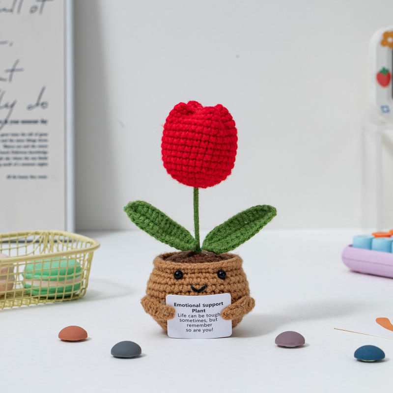 Plante en pot tulipe rouge