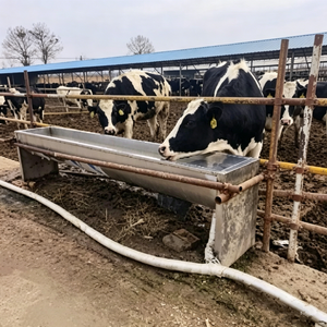 <span class=keywords><strong>Abreuvoir</strong></span> en acier inoxydable-Réservoir d'eau pour bétail pour bovins, chevaux, moutons et chèvres - Product Image 6