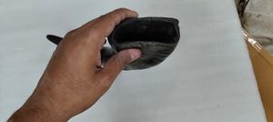 Auténtico Cuerno de Shofar de Kudu Pulido, Ecológico y Hecho a Mano con Diseño Animal de la India para Decoración del Hogar, Venta al por Mayor - Product Image 5