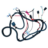 Faisceau de câblage ATV en promotion, faisceau électrique personnalisé, faisceau de câbles de moteur automobile avec isolation PBT ISO9001 pour