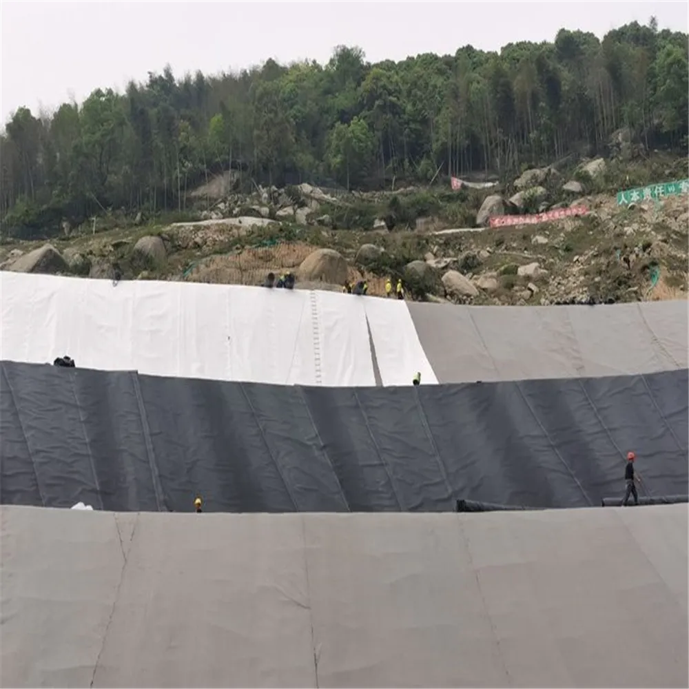 Biogas digester geomembranes liner Earthwork products 1.5mm 2mm HDPE geomembrane