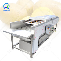 Industrie océanique Machine automatique de lavage de graines de dattes de brosse de rondelle de carotte de légumes propres de 100kg pour les grands fruits commerciaux