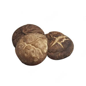 Jamur <span class=keywords><strong>Shiitake</strong></span> Murni Cina Kering, Laris Manis - Product Image 3