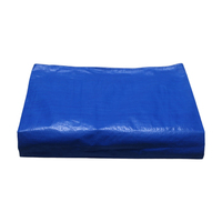 Tente de bâche PE imperméable bon marché Poly Tarps tissu de pluie avec longue durée de vie et protection UV