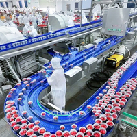 Roestvrijstalen Fruit-En Groentewasmachine Tomatenstoomschilmachine Tomatenverwerkingslijn