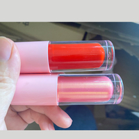Vente en gros de brillant à lèvres en vrac personnalisé de marque privée personnalisé brillant à lèvres mat liquide rouge à lèvres étanche