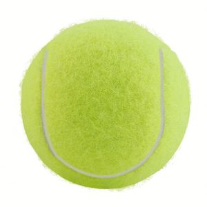 Custom Logo Training Pet Tennis Balls, <b>High</b> Elasticity & Durability, Ideal for <b>Dog</b>, Perfect Promotional Gift - Product Image 4