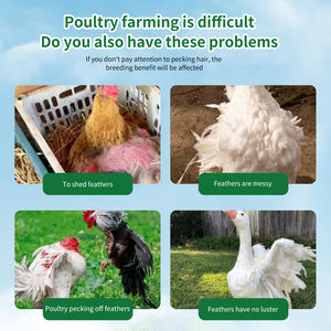 דוגמאות חינם זמינות לשפר חיות מחמד וחיוניות מחמד עם אבקת טופס ויטמינים, תוספי מזון - Product Image 3