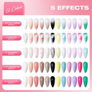 JTING 5 Effets Pat Pat Ombre Gel Polish Set Box Collection 12 Couleurs Gel Polish Multi-usages Gel Modelant Nail Art OEM - Product Image 4