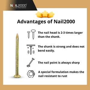 Ancres à clous durables de 1,75 pouce, plaquées zinc doré, à tête concave, pour la construction de hangars et de clôtures - Product Image 4