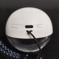 Boule de cristal électronique tendance de la mode, écran LCD, mémoire rechargeable de 4 Go, vidéo magique 3D, pour cadeau