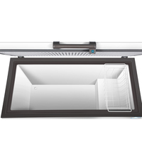 Congélateur Coffre Électrique BD-400 Homologué CE à Ouverture par le Dessus, Porte Unique, Profond, avec Serrure, Lumière LED, Température Unique, Grand Congélateur au Propane