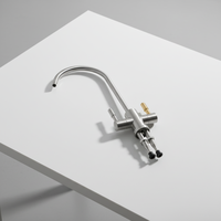 Robinet de filtre à eau potable RO FCTS02 1/4'' en acier inoxydable brossé, finition classique moderne, pour évier de cuisine à osmose inverse double