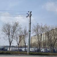 Tour de ligne de transmission en acier galvanisé à chaud 33KV 66KV 110KV 169KV, tour monopôle 132KV pour ligne de distribution d'énergie électrique