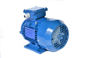 Motor Trifásico de Alta Eficiencia Serie YE2, Motor Asíncrono Trifásico de Inducción CA para Uso Industrial - Product Image 2