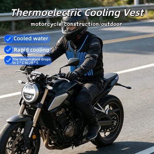 Gilet de refroidissement thermoélectrique de haute qualité avec système de refroidissement par eau et gilet en maille pour le cyclisme, la construction et l'industrie - Product Image 4