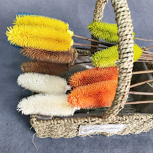 Fleur préservée <span class=keywords><strong>Dipsacus</strong></span> sativus séchée naturelle noix de thé conservées <span class=keywords><strong>Dipsacus</strong></span> Sativus pour la décoration de la maison - Product Image 3