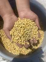 Machine à granulés d'aliments pour volailles, lapins et canards, 200 kg/h, nouvelle génération, vente chaude