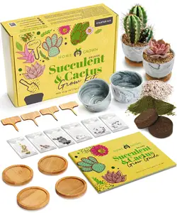 Deluxe Complete diy 9 plant Garden Starter Kit Cadeau de jardinage d'intérieur Succulent & Cactus Windowsill Herb Growing Kit