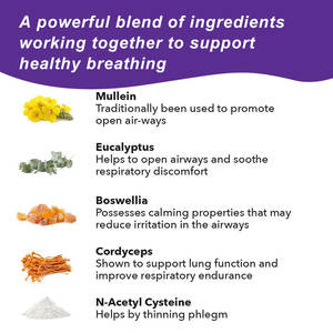 Cápsulas de limpieza de desintoxicación pulmonar OEM/ODM, que apoyan la salud respiratoria, alivian la flema y promueven cápsulas de bienestar natural - Product Image 4