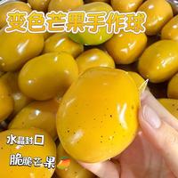 Nuevo Squishy con Forma de Mango y Sonido Crujiente, Juguete Antiestrés Suave, Bloque Sensorial de Fruta Realista